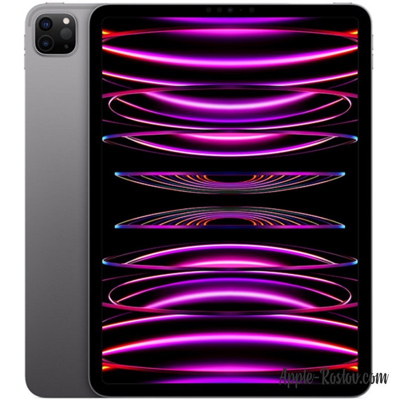 Apple iPad Pro 11 M2 Wi‑Fi Cellular 2 Tb Space Gray (2022)