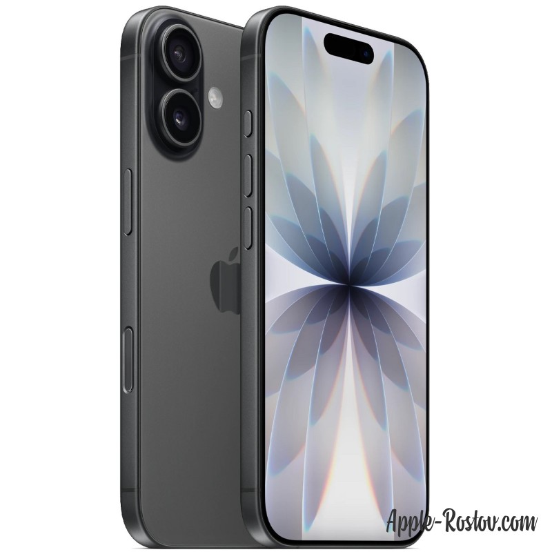 Apple iPhone 17 256 Gb Black eSIM