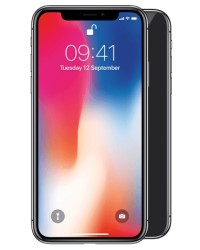 iPhone X(10)